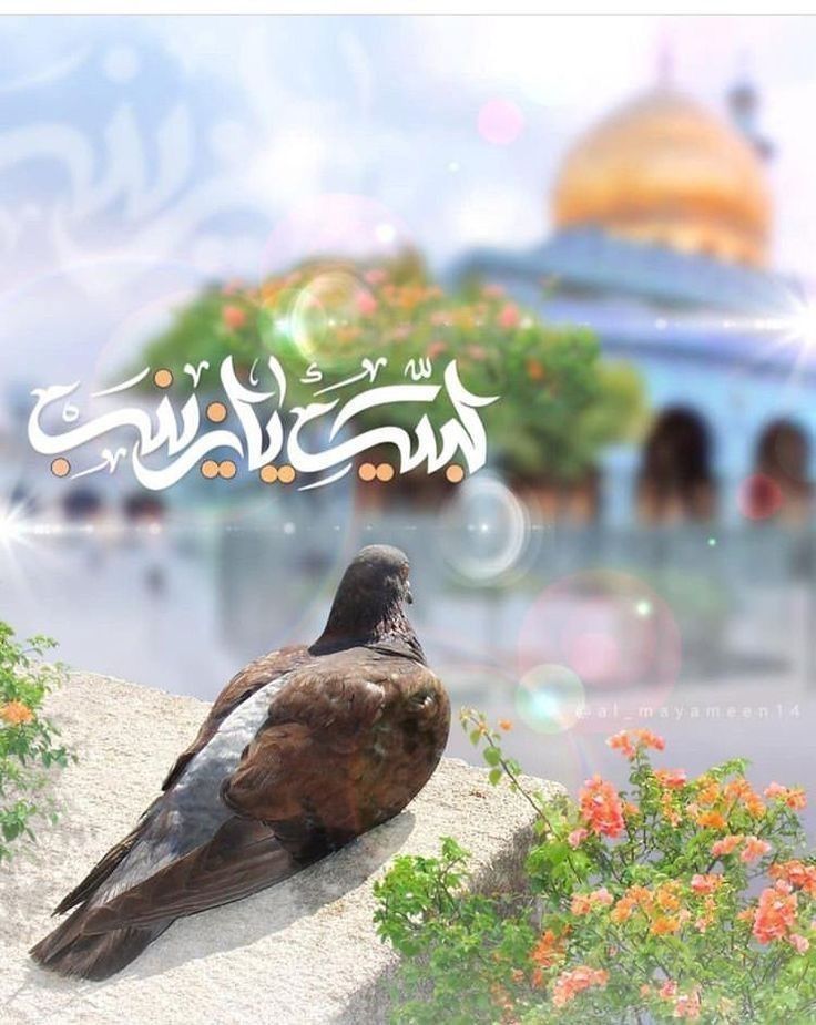 garibaneh22's tweet photo. حضرت زینب (س) در کوفه، با خطبه خود، مردم را از جهالت بیدار کرد و استقامت را الهام بخشید.
#بانوی_مقاومت https://t.co/c98FKu5pFK