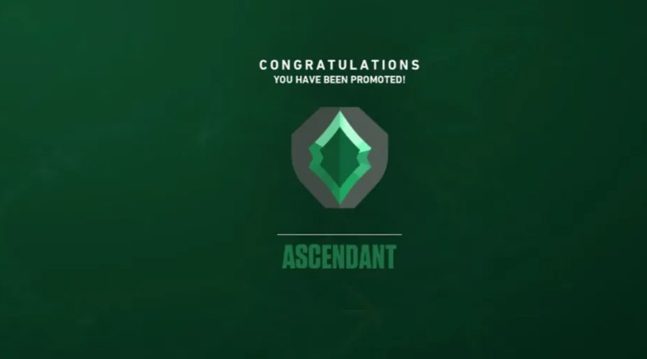 honie2nut tweet media