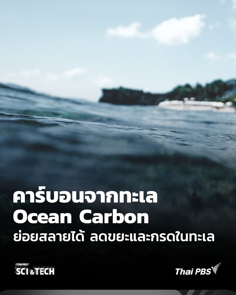นักวิทย์เปลี่ยน Ocean Carbon เป็นพลาสติกย่อยสลายได้ ลดขยะและกรดในทะเล

นักวิทยาศาสตร์จีน พัฒนาเทคโนโลยีดักจับคาร์บอนจากน้ำทะเลมาเปลี่ยนเป็นพลาสติกชีวภาพย่อยสลายได้ตามธรรมชาติ พร้อมช่วยลดภาวะกรดในทะเลและขยะตกค้างในระบบนิเวศ

📌อ่านต่อ : thaip.bs/ylLHbeh

“รอบรู้ ดูกระแส
