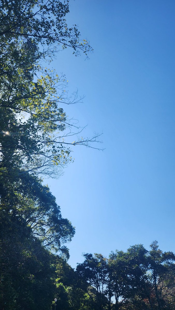 やっと会えたね、秋晴れ☀️