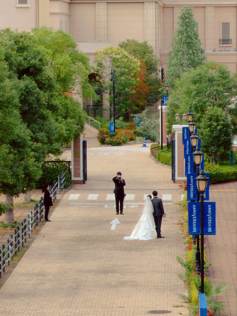 0x_frost's tweet image. I should have spent my time getting married instead of gambling online