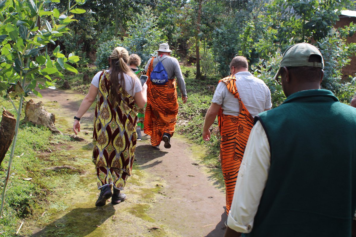 beyond_gorila's tweet photo. Ever tasted banana beer while watching master weavers work?

@GasuraBTV at the Volcanoes foothills offers what guidebooks miss ,authentic dances, local cuisine &amp; local cultural dances that'll take your heart.

Rwanda beyond the safari awaits. Are you ready? 

#RwandaCulture https://t.co/aCgG2CzWip
