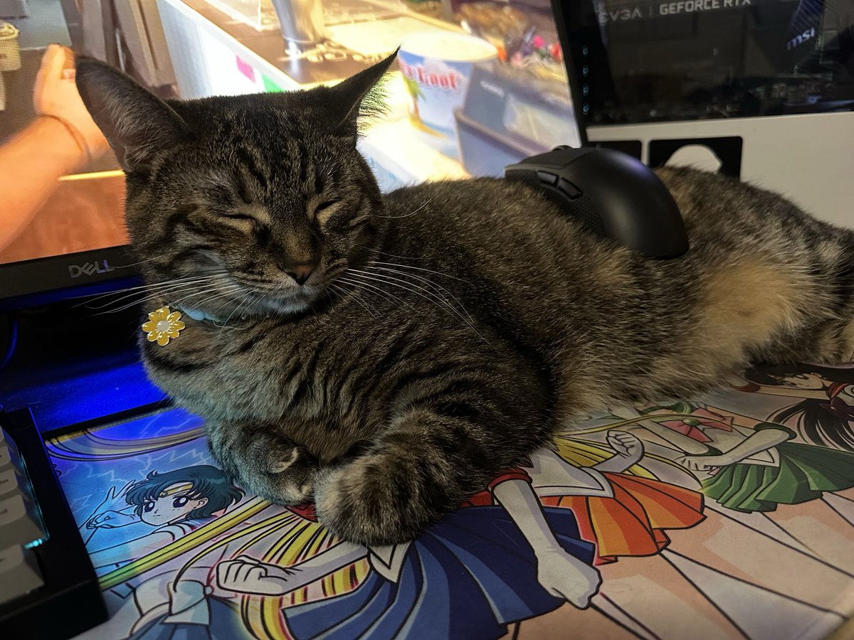 My mousepad is kinda weird and fuzzy.