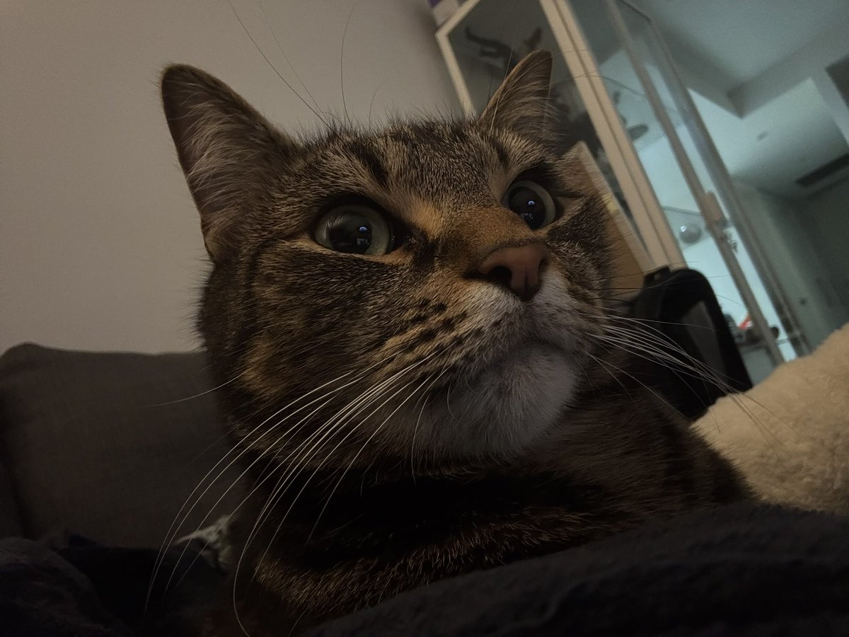 ‎‏ً tweet media