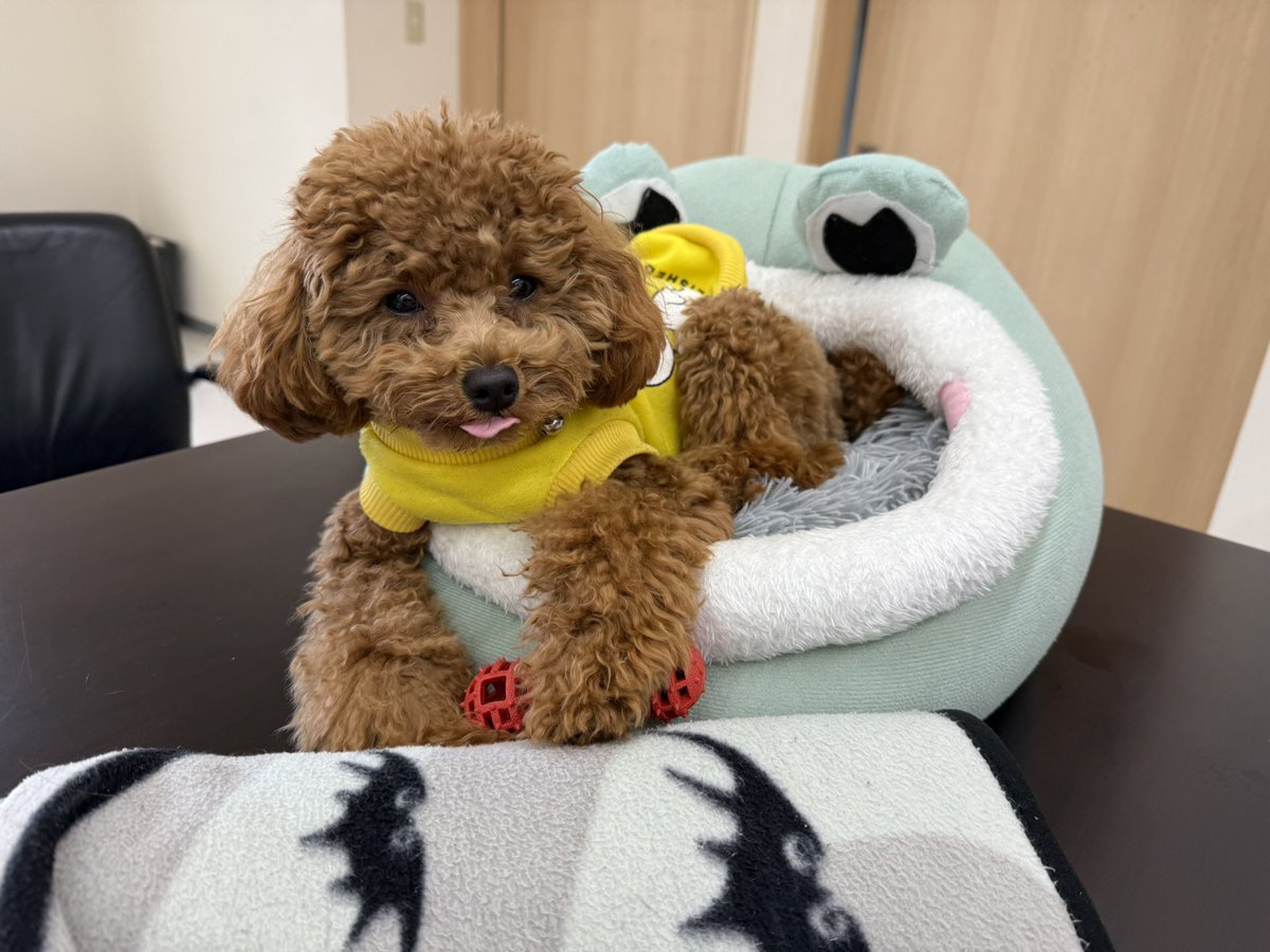 ブラックバス✨手彫り✨2つセット❗もう少しで完成‼️9～10