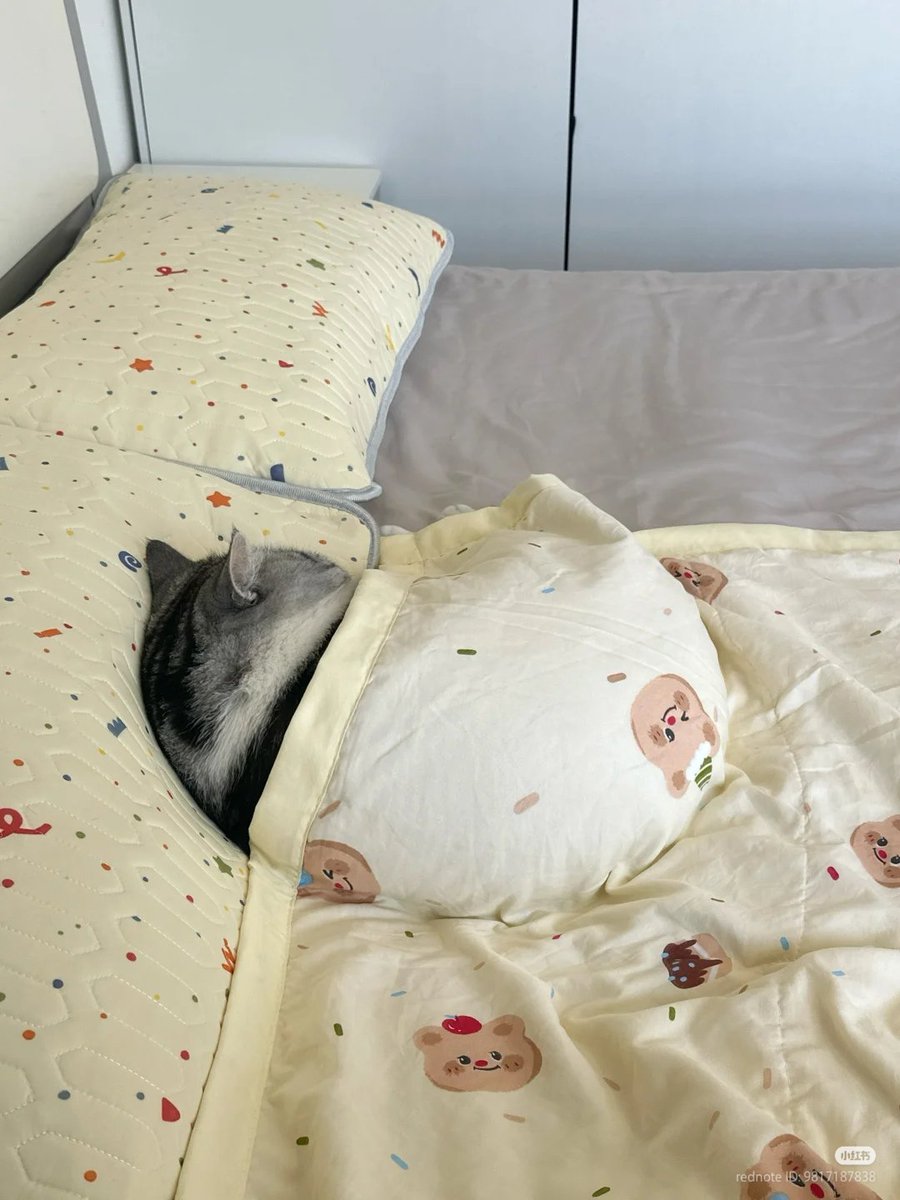 nocontextscats's tweet image. 