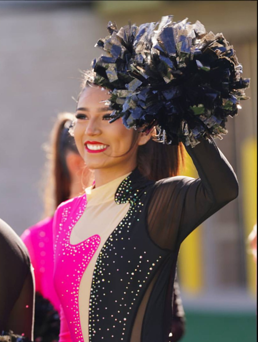 MECHS Phoenix Flames Dance Team tweet media