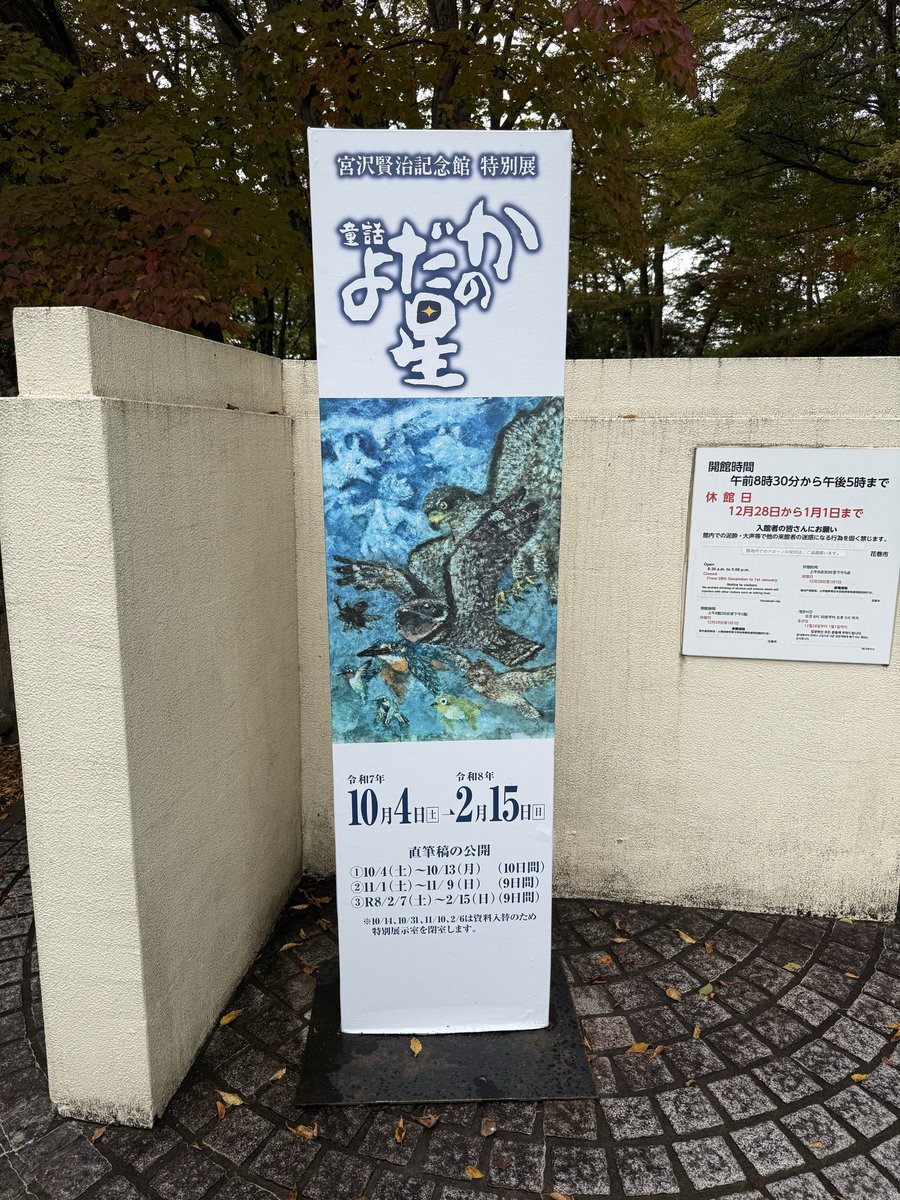 Ado　はちゃん　バズーカより発射❢ क॑ ᤊ🥀💙 (@Ao_Adochan) / X