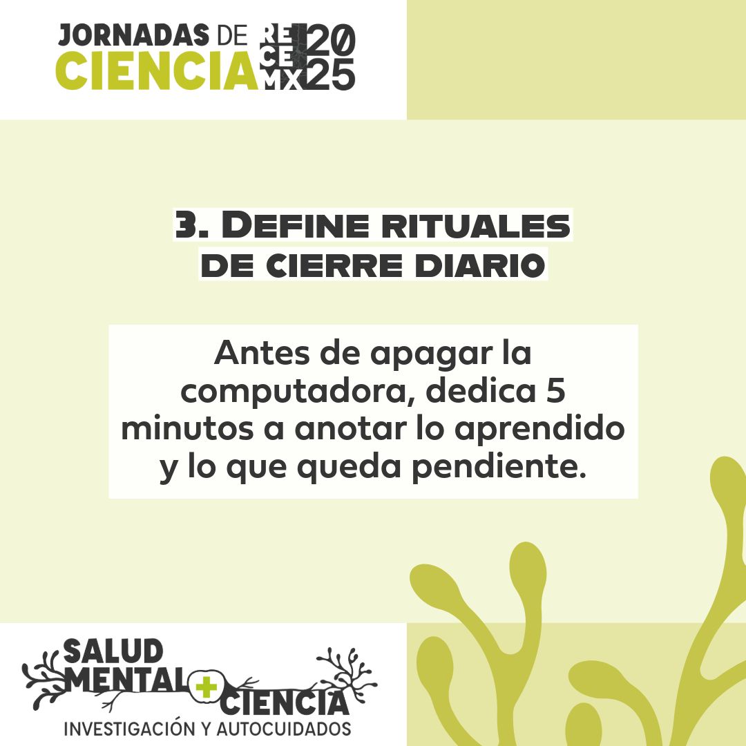 RECEMX AC tweet media