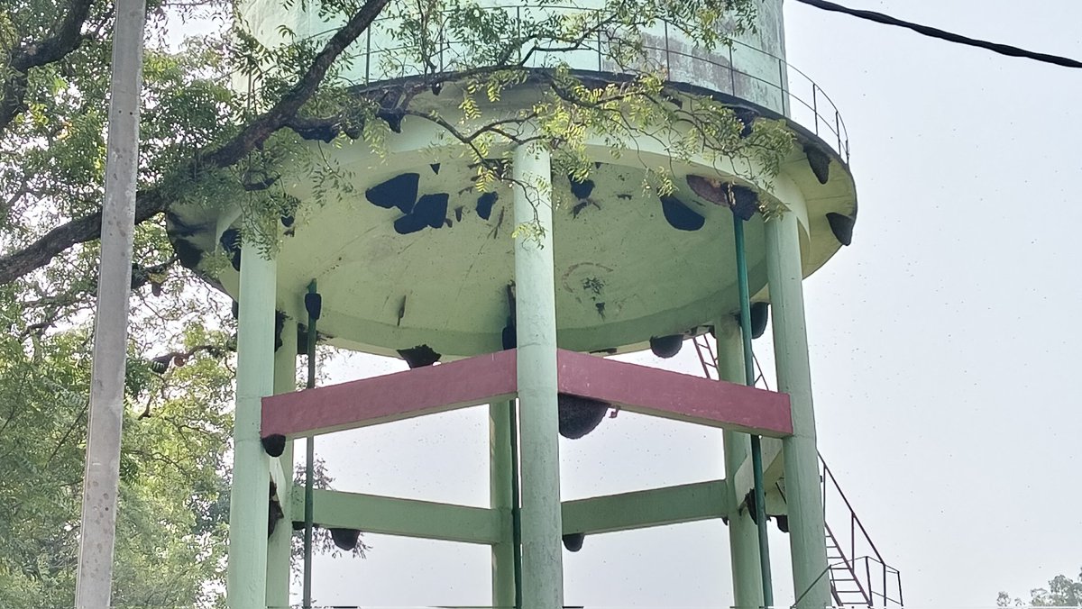 Rakesh Bal ରାକେଶ ବଳ tweet media