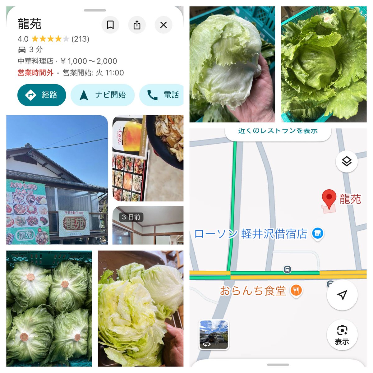 レタス、レタス、レタス
借宿の町中華　龍苑さんからの依頼です。
龍苑さんが、新鮮な美味しいレタスを320個いただいたそうで、日頃のご愛顧に感謝して、無料で差し上げますとのこと。
個数制限なし、食事しなくても大丈夫とのこと。
月曜日は、定休日ですので、明日から、今週いっぱい