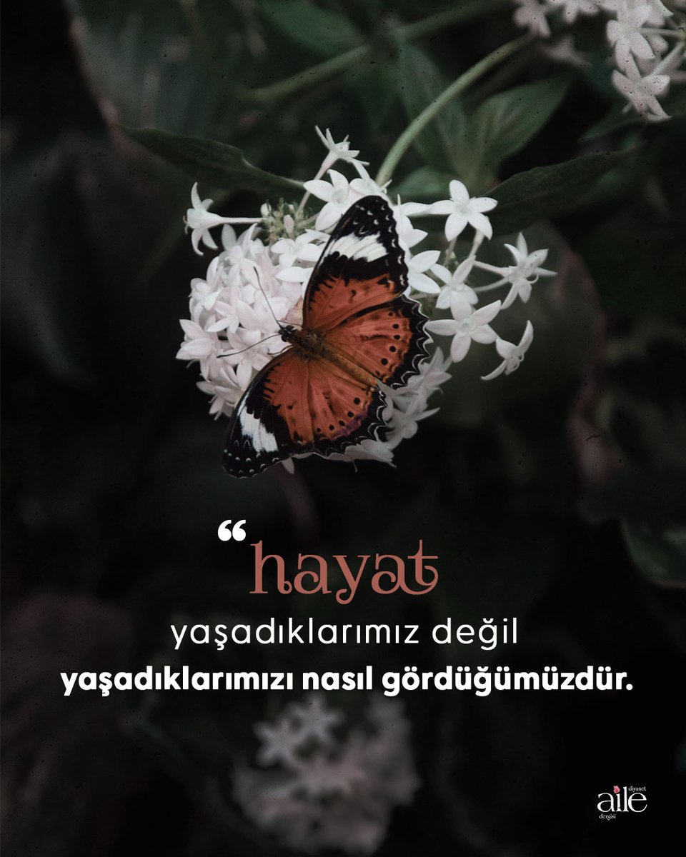 Hümeyra Arslan’ın “Firkatten Vuslata Hüznün Seferi” adlı yazısını ekim sayımızdan okuyabilirsiniz.