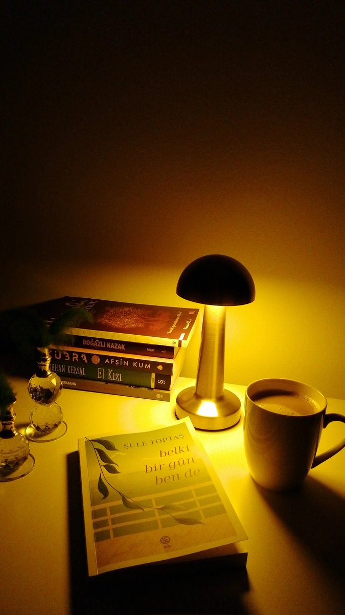 #belkibirgunbende
#suletoptas
#kitap #kitapseverlertakiplesiyor #kitapkahve