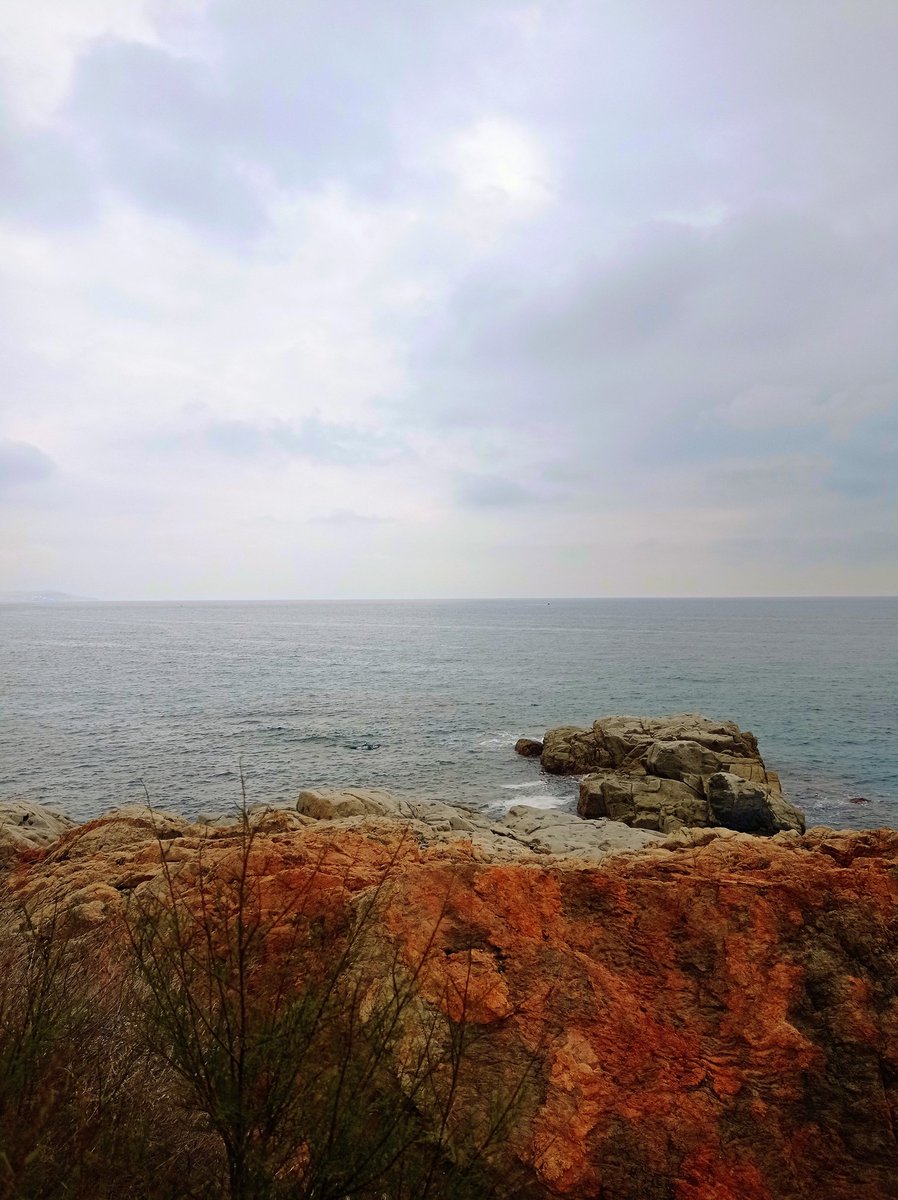 Roques de sang,
espectadores latents
d' amors sense destí, 
cauen en el parany 
de ferir sense avís.