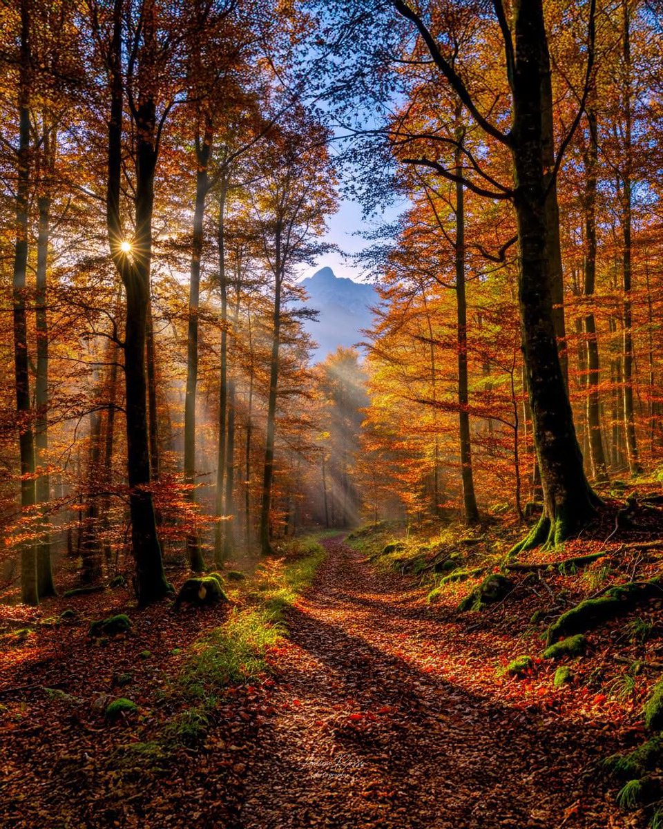 Beautiful new week ☀️🍂