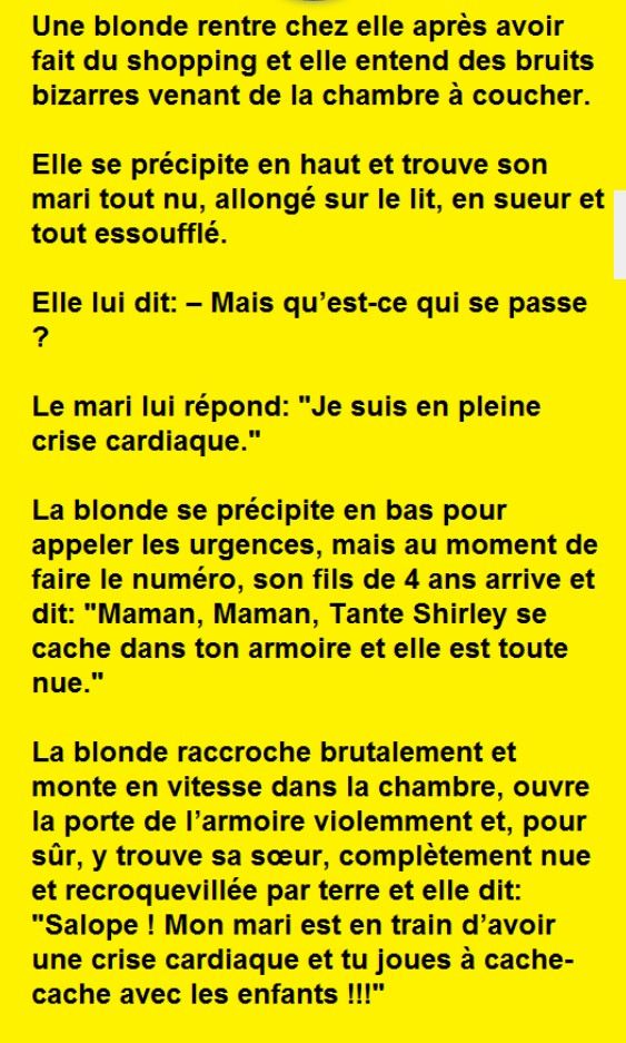 Elisabeth Bonnefond🐶🕊️🐰🐝 (@djangocanelle) on Twitter photo Bonjour. 
Ça y est les blondes sont rentrées  de week-end et ça commence fort😂😂
C'est une nouvelle semaine  qui commence alors débutons la avec un sourire. 
Courage à vous si vous travaillez, si vous êtes en vacances, profitez. 
Très bonne journée à vous tous. 
Bisous😘😘 Bonjour. 
Ça y est les blondes sont rentrées  de week-end et ça commence fort😂😂
C'est une nouvelle semaine  qui commence alors débutons la avec un sourire. 
Courage à vous si vous travaillez, si vous êtes en vacances, profitez. 
Très bonne journée à vous tous. 
Bisous😘😘