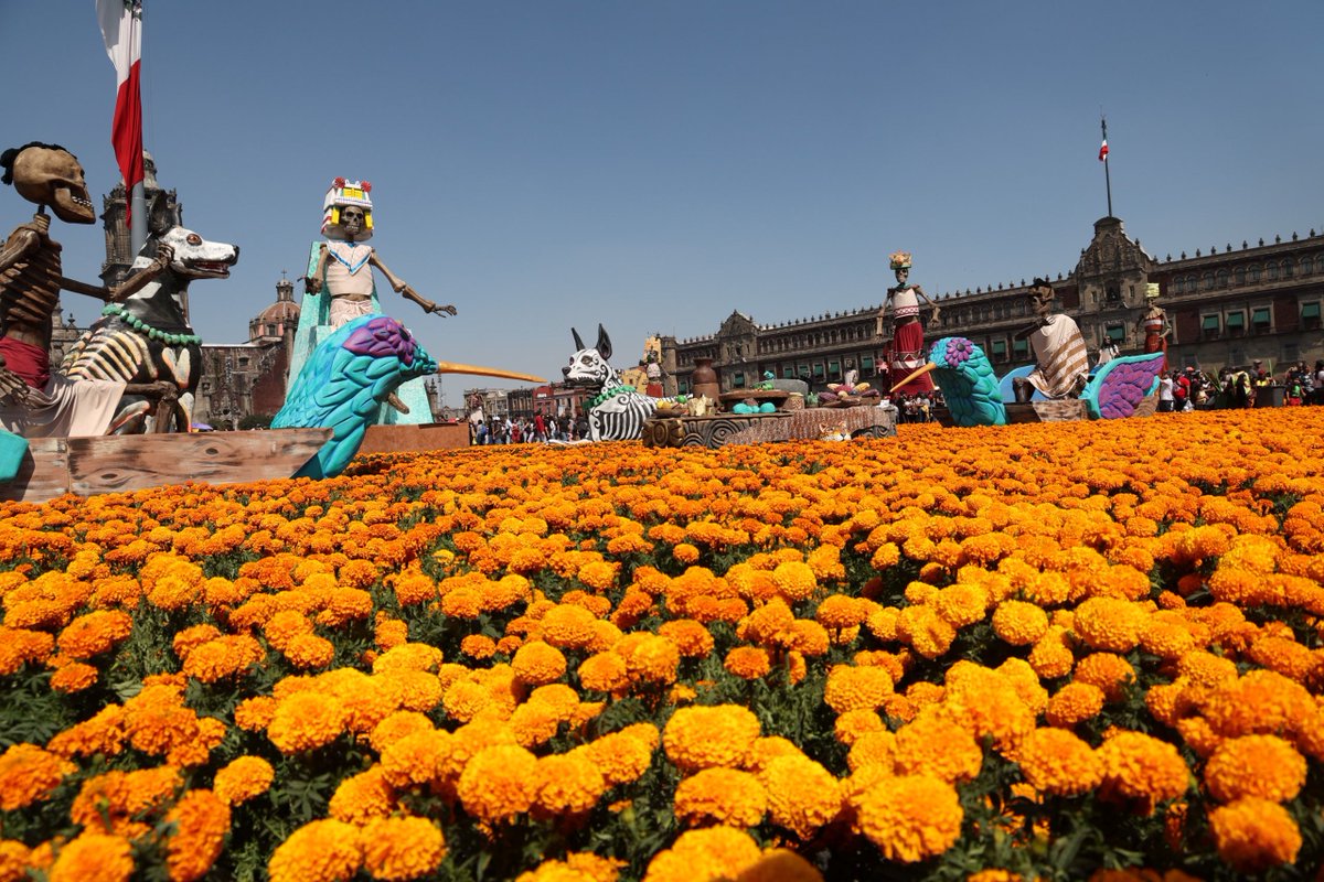 El Contemporáneo MX tweet media