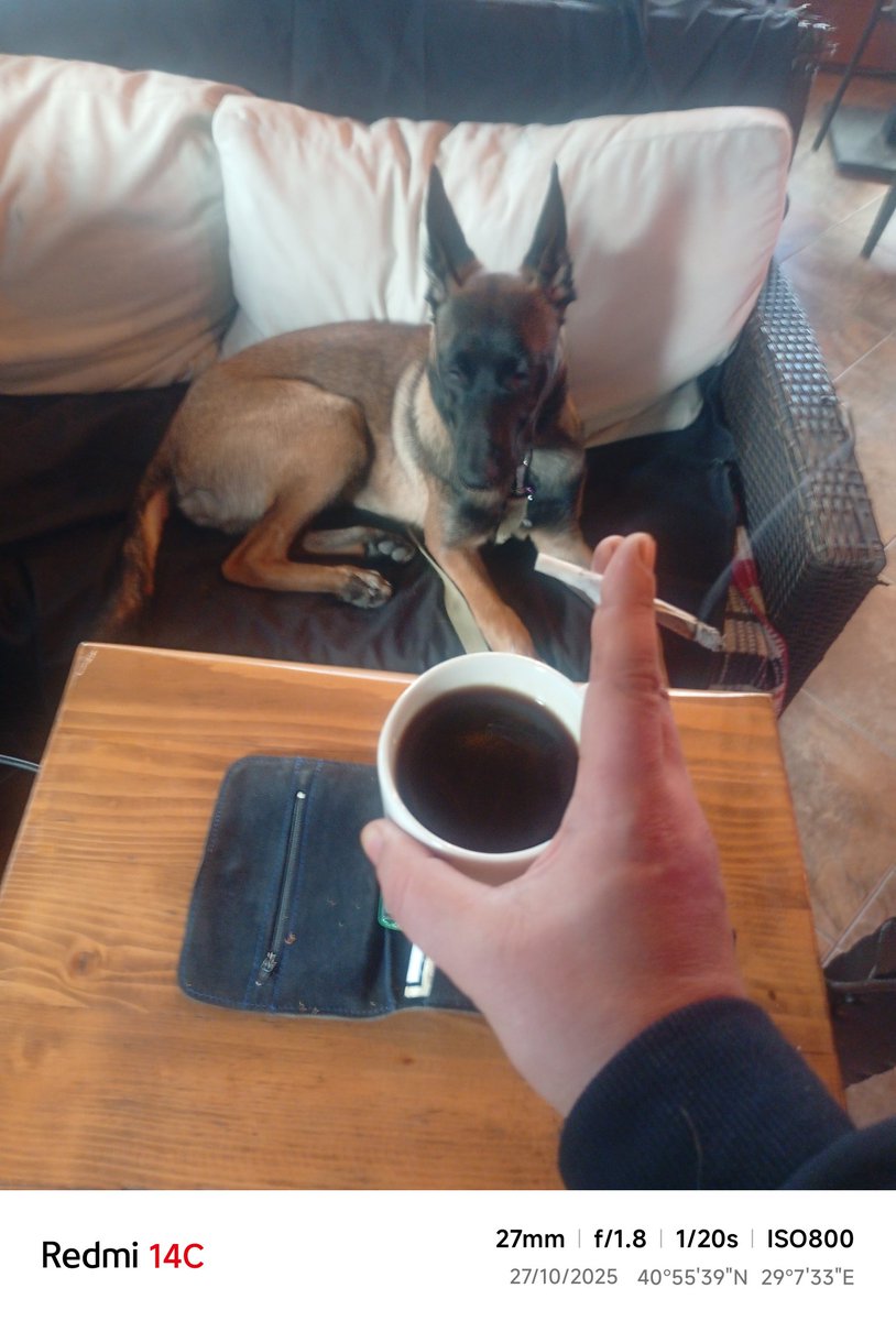 Günaydın... Alkolün allah belasını versin...