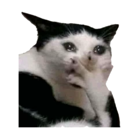 <a href="/sunthesunstone/">✹ Sun⁷ ✹</a> WE ARE SO INCREDIBLY COOKED