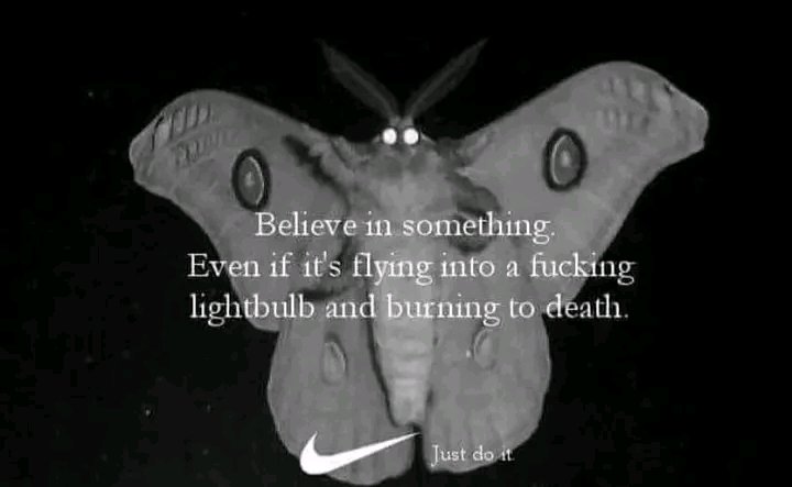 Gmoth 
(<a href="/Rockchilld3/">φ💡</a> 🫣🫢) 💡