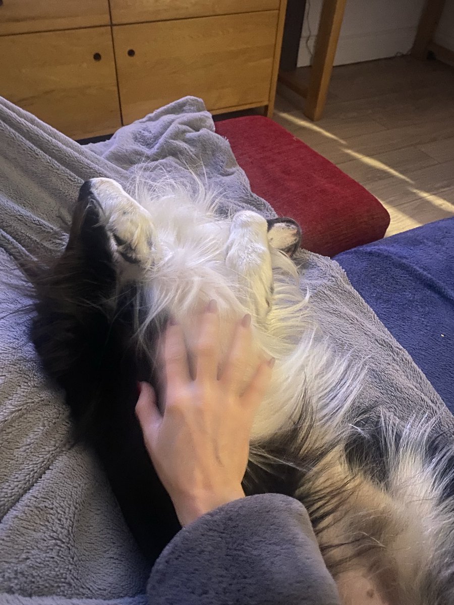 Gosh Monday mornings are stressful 🤪