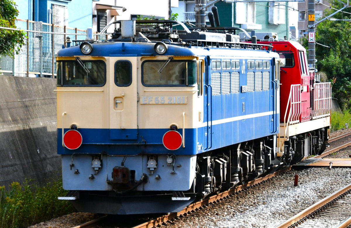 亀です レーさん(カメです) (@nasubiyakiniku) / Posts / X