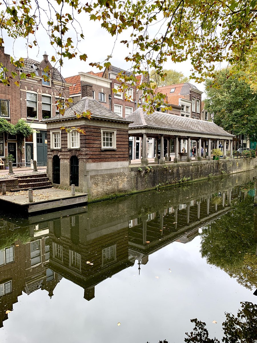 De visbanken in Gouda zijn in de 16e eeuw gebouwd en ontworpen met een focus op functionaliteit. Ze bestaan uit lange, stenen tafels waar vis werd uitgestald en verhandeld. De overkapping beschermde de waren zowel tegen regen als zon en vallende blaadjes. Fijne maandag  ☔️