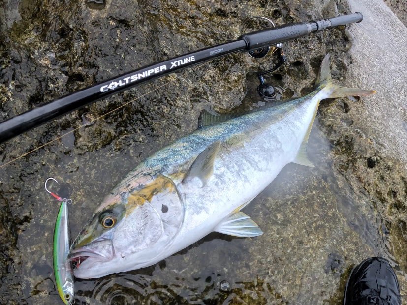 FishingNob's tweet photo. 今年一番の高活性。
グラノダイブのノンストップ高速ジャークの反応が異常に良かった。 https://t.co/2wRONYVttA