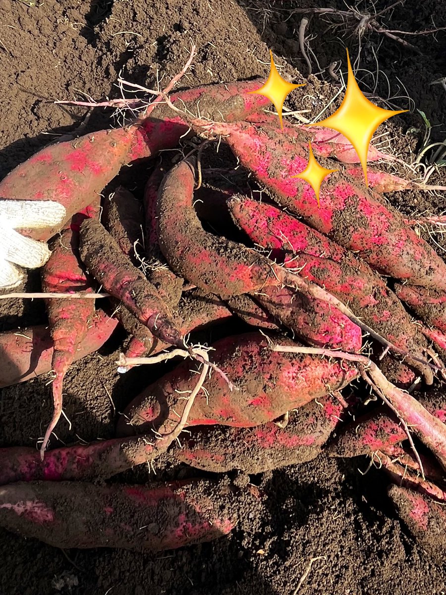 あこ (@acoaco014) / Posts / X