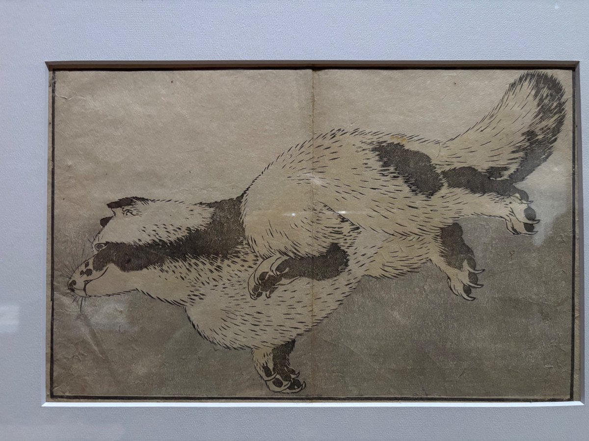 ☆雪猫☆ The heavy snowfall made me excited. The black kitty was so