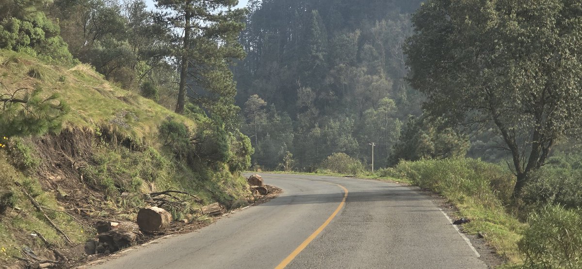 CITADINO40's tweet photo. @SEMARNAT_mx @GN_MEXICO_ @GobiernoMX @TVAztecaCDMX_ DENUNCIA DE TALA DESPROORCIONADA Y COMO NUNCA VISTO EN CARRETERA A LAGUNAS DE ZEMPOALA, ES UNA BURLA AÚN ESTANDO LA @GN_MEXICO_ URGE ATIENDAN ESTA DENUNCIA!! https://t.co/0PECspjock