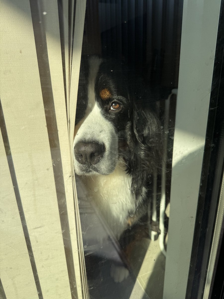 自分だけお外で良いですねの顔