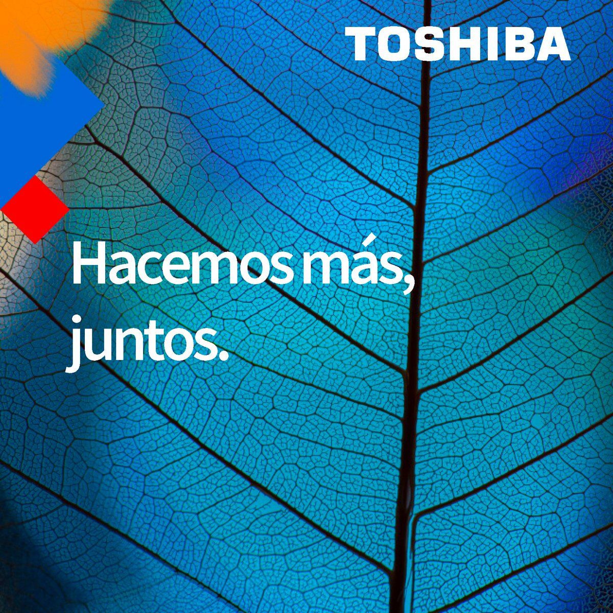 ¿Quieres saber lo que #Toshiba hace por el #medio ambiente? 🌍🌱 Descubre datos interesantes sobre nuestras #contribuciones y únete a nosotros para hacer un mundo más verde. 👇💚 

toshibatec-tsis.com/toshiba/medioa…