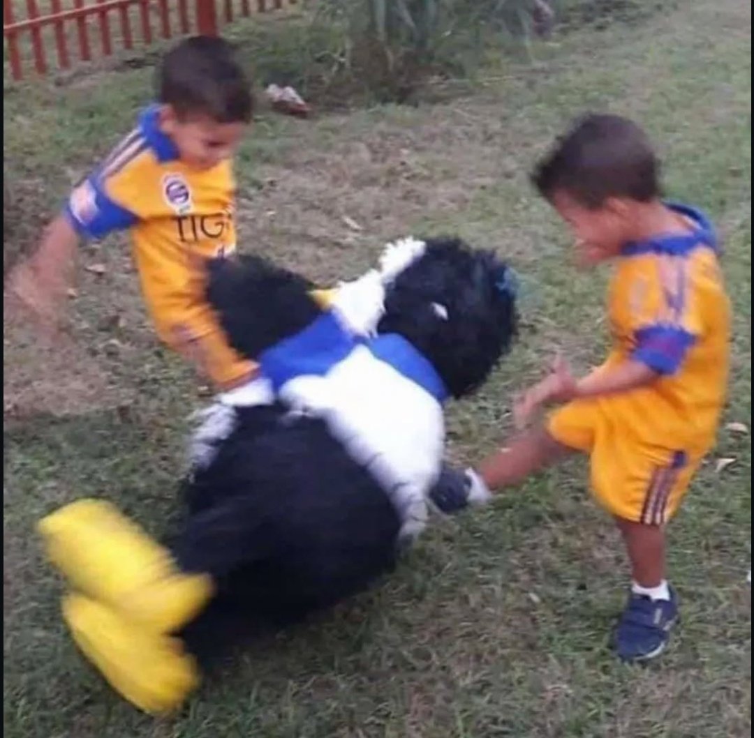 Hugol343's tweet photo. SEMANA DE CLÁSICO REGIO 141 🐯 https://t.co/7XPBwPK2By