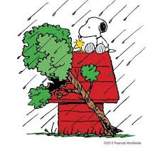 #Snoopy : Happy Monday Everyone! 🌧️💨 It looks like we are in for a wet and windy week, so take care out there! Remember to stay safe and cozy. Have a great week ahead! 💪✨ 
#MondayMotivation #WeatherUpdate #StaySafe