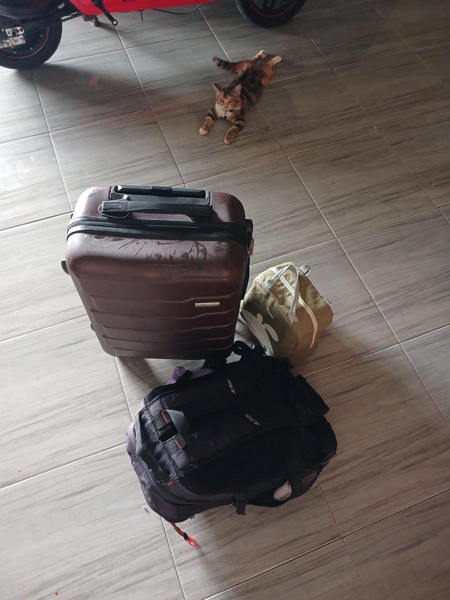 pindahan part 2