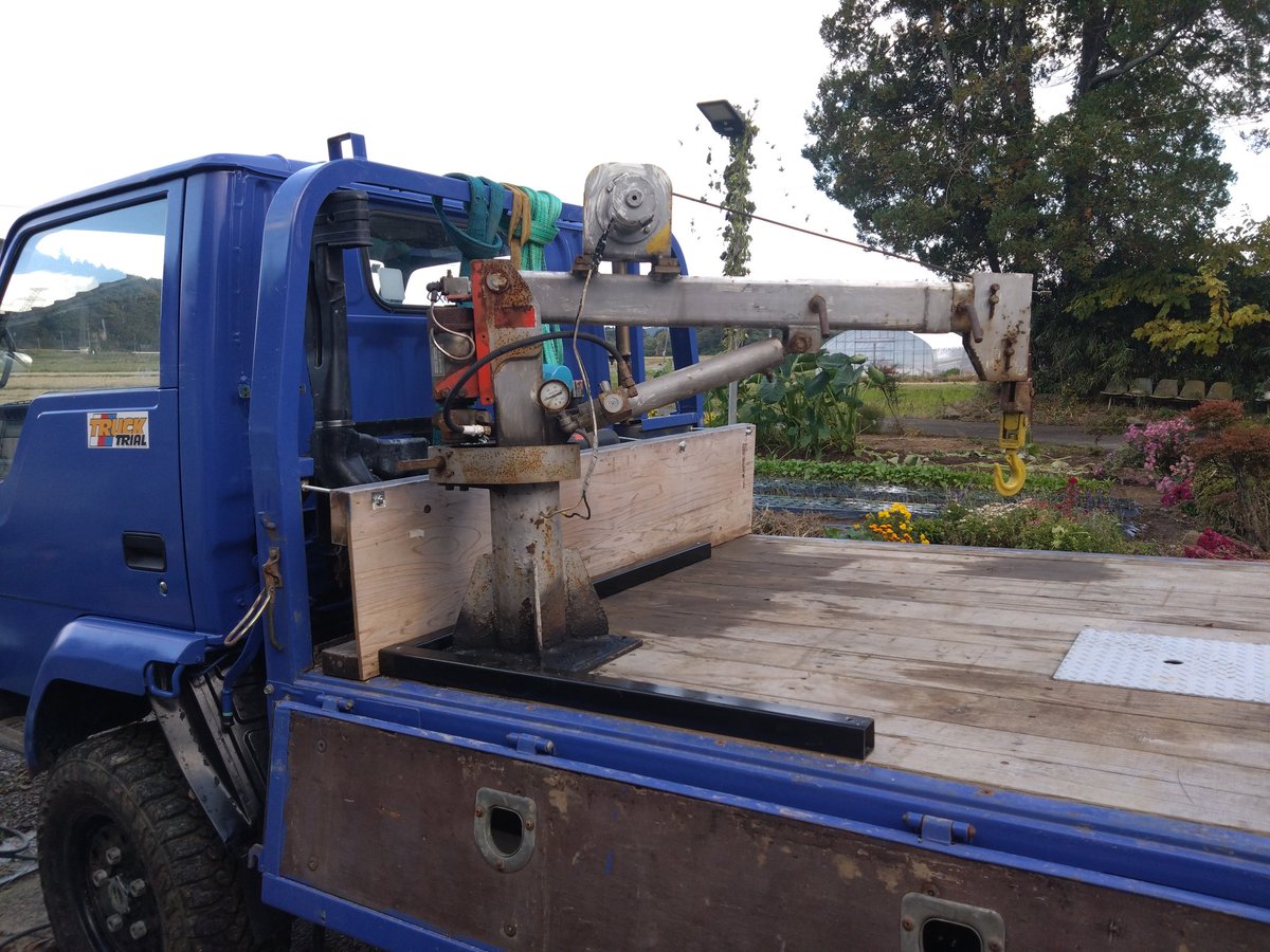 シャチ (@killerwhale_ta) / Posts / X