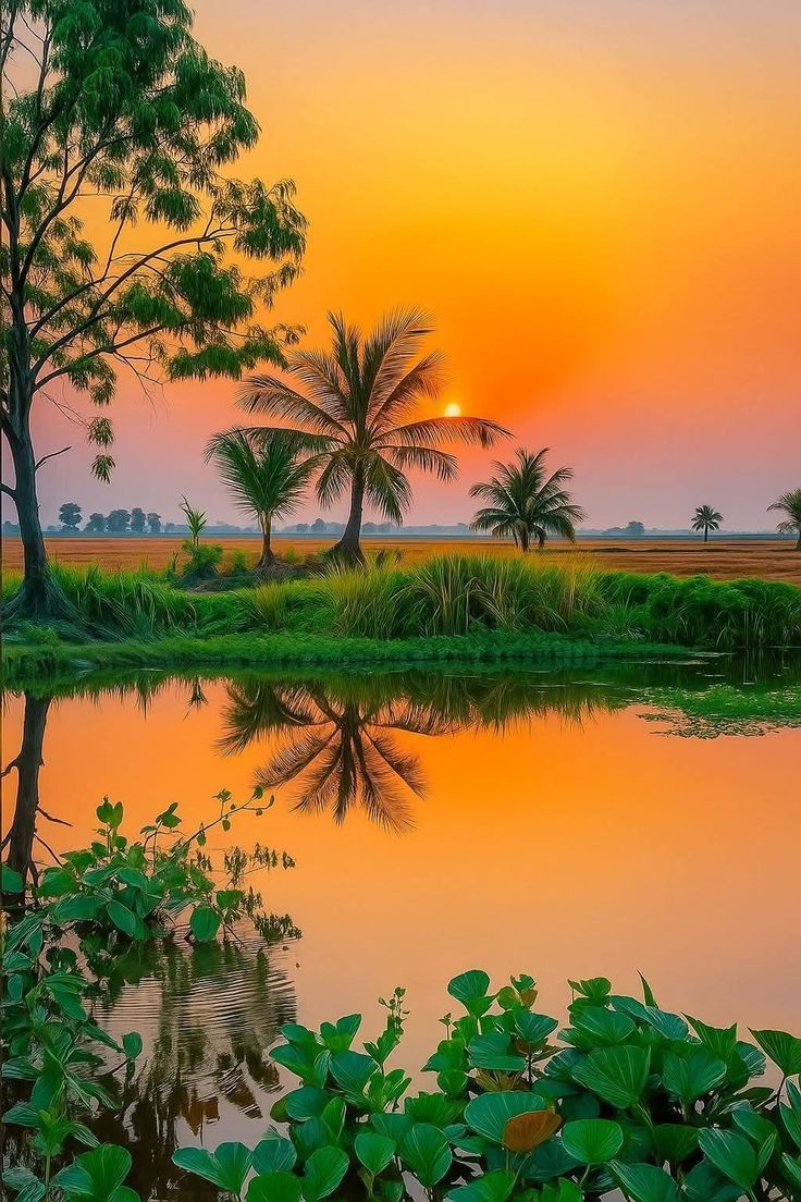 SAGE🌿 (@sagy720) on Twitter photo 