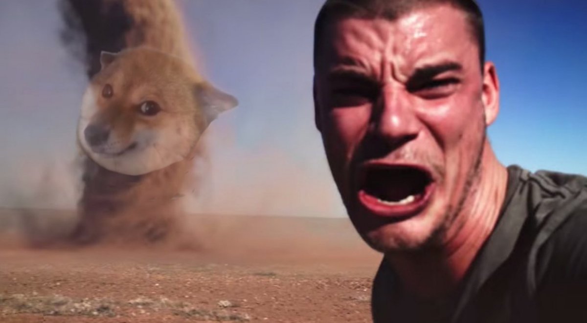 <a href="/bull_bnb/">BULL.BNB</a> Bnb  🔥 $肉肉