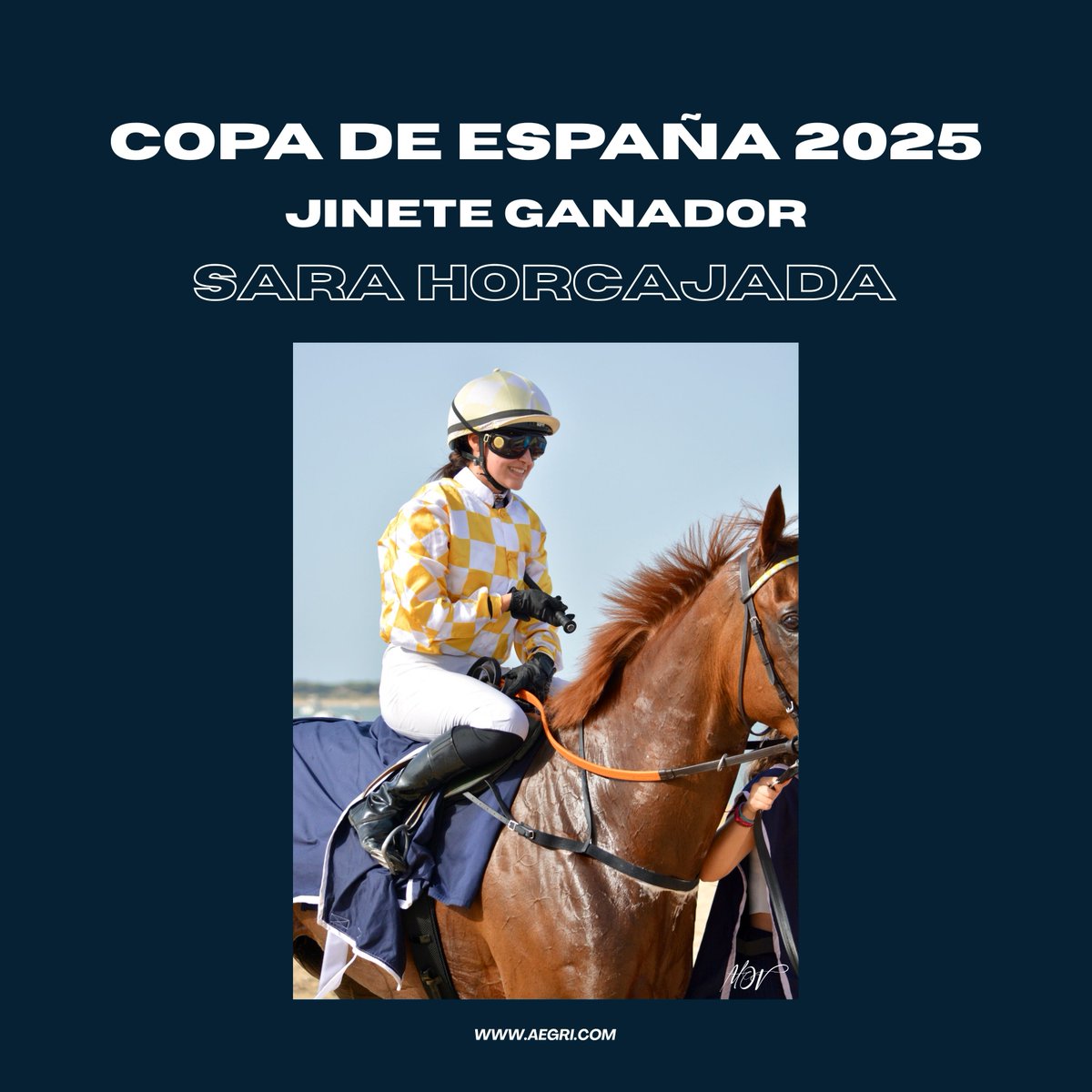 A.E.G.R.I. tweet media