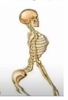 But why was Julia Ruth walking around like this..... #MAFSUK #mafs