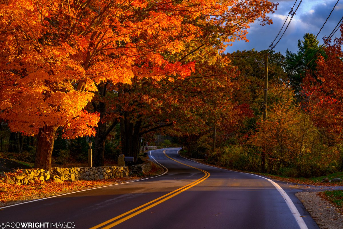 This one tree along Brackett Road gets lit up by the golden hour sunshine and makes for an incredible scene when the light and the leaves are just right. 
--
October 26, 2025
Rye, New Hampshire