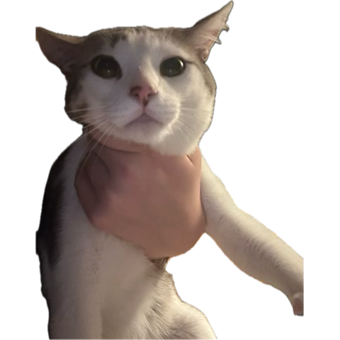 i feel like my guts r getting ripped out