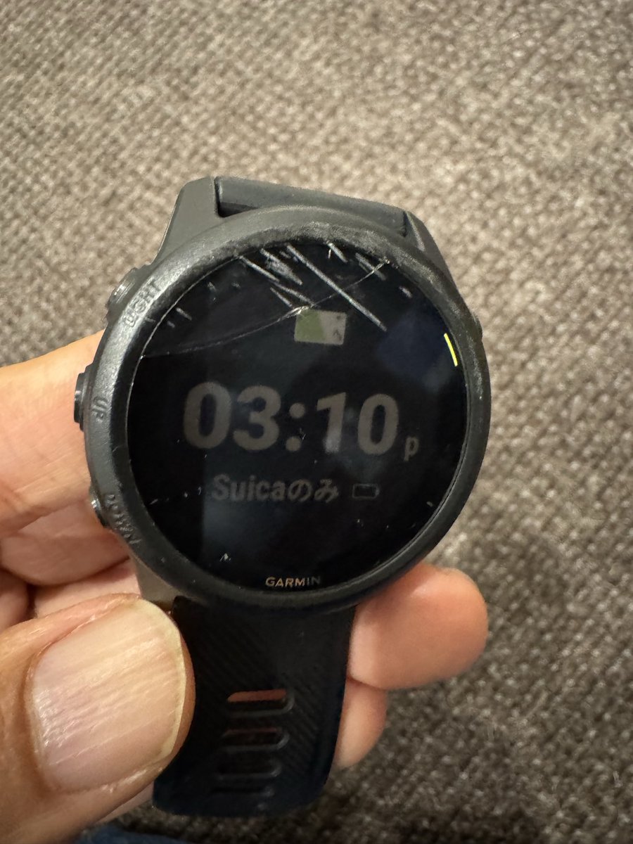 み〜ちゃんさん専用 ぬこー様ちゃん@ロードバイク狂 on X