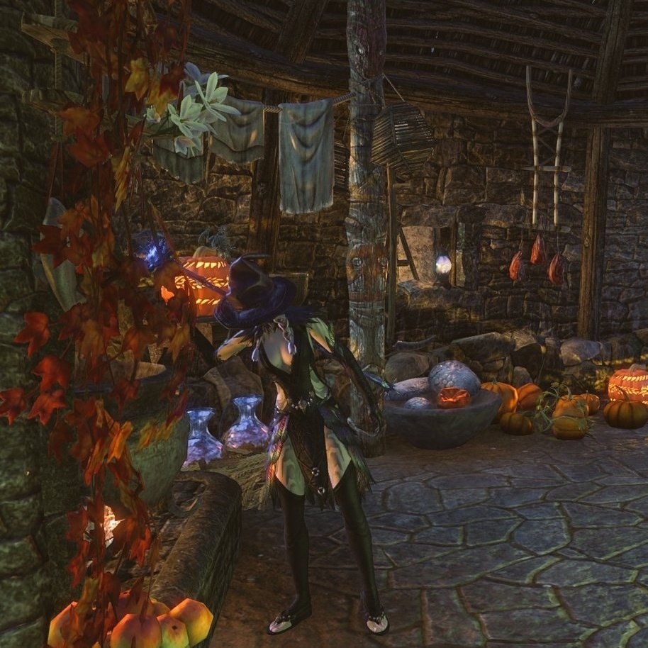 magic_merlin1's tweet photo. 今年这个伯劳女巫团主题裙子真的好看🎃#eso https://t.co/amr4vb5Ox5