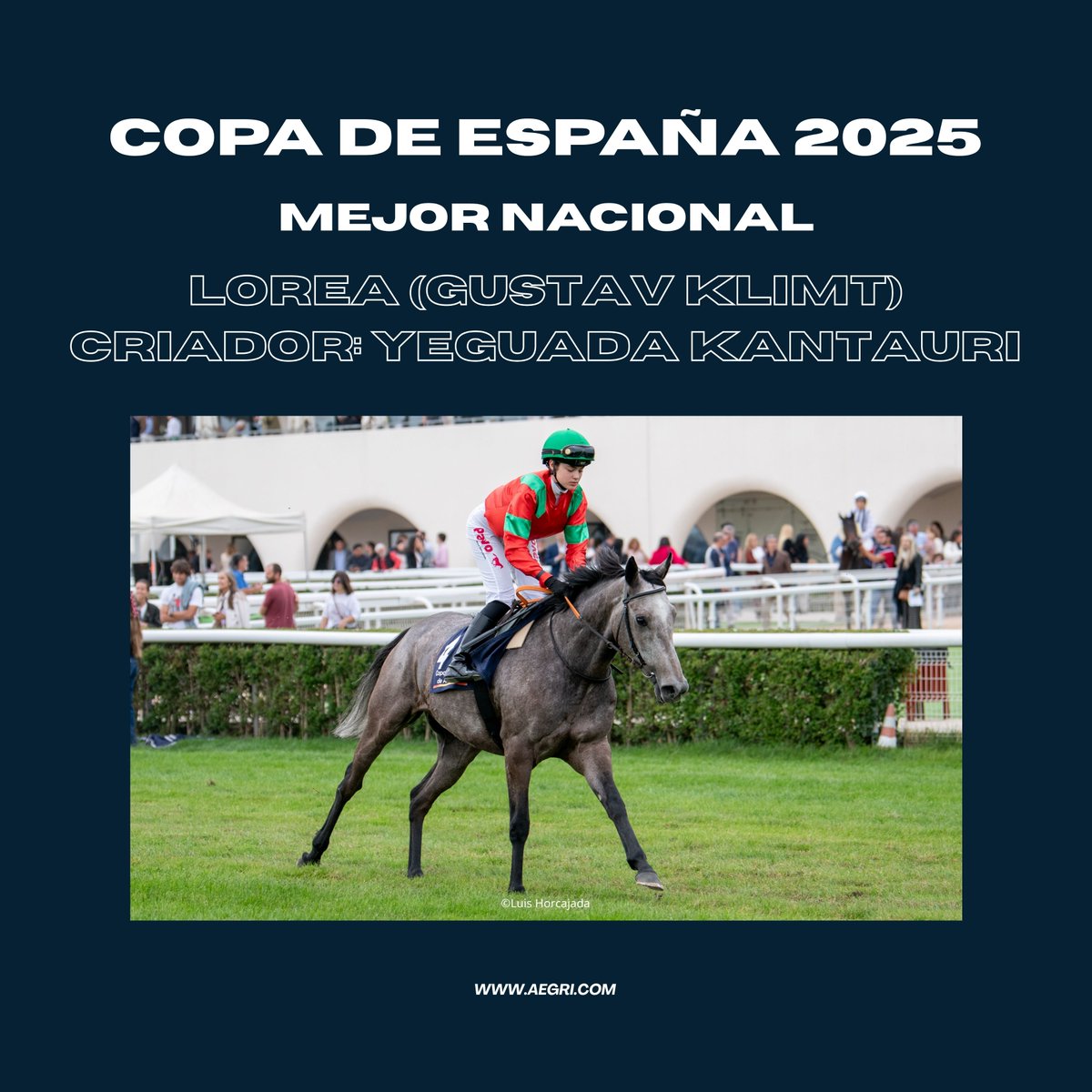 A.E.G.R.I. tweet media