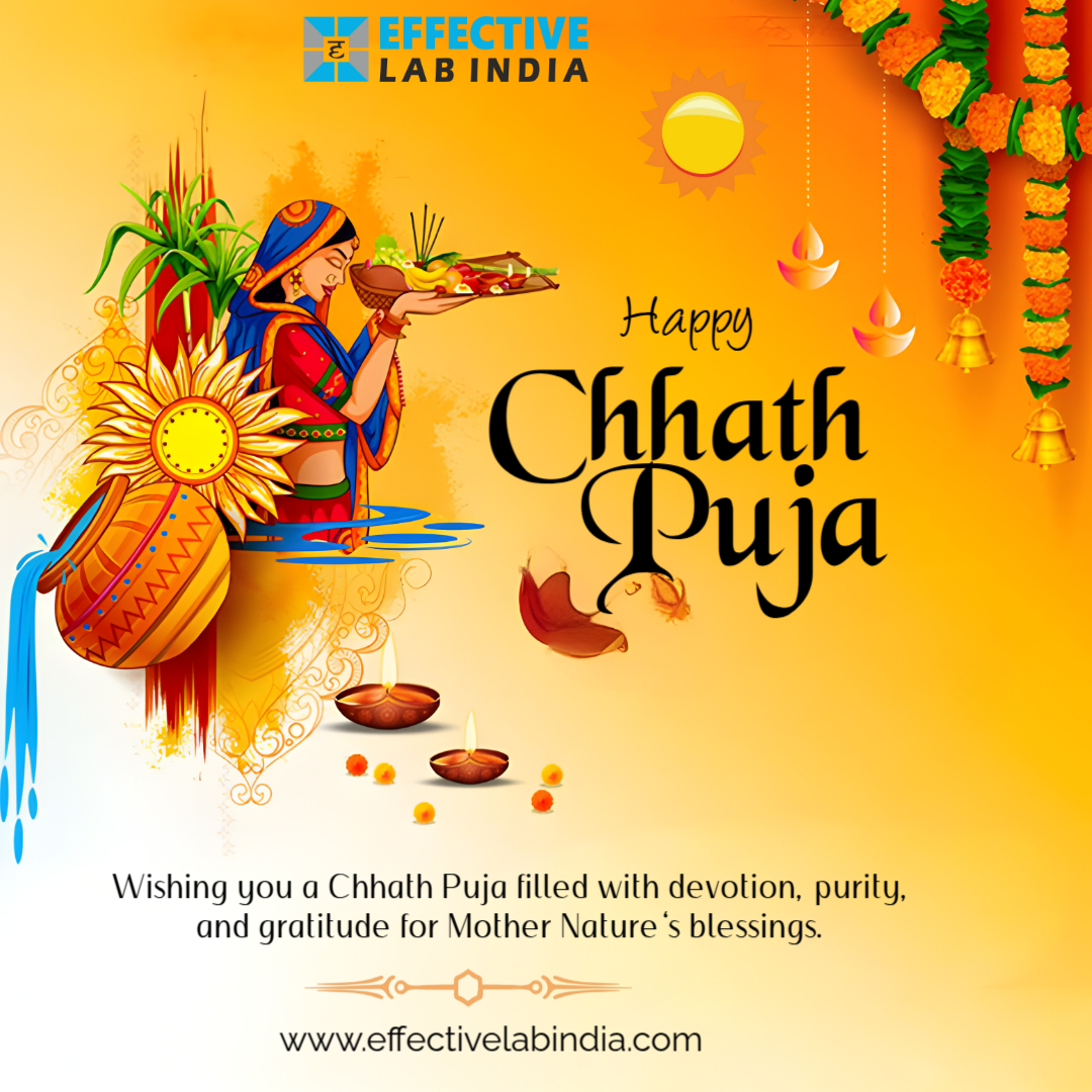 Effective Lab India tweet media