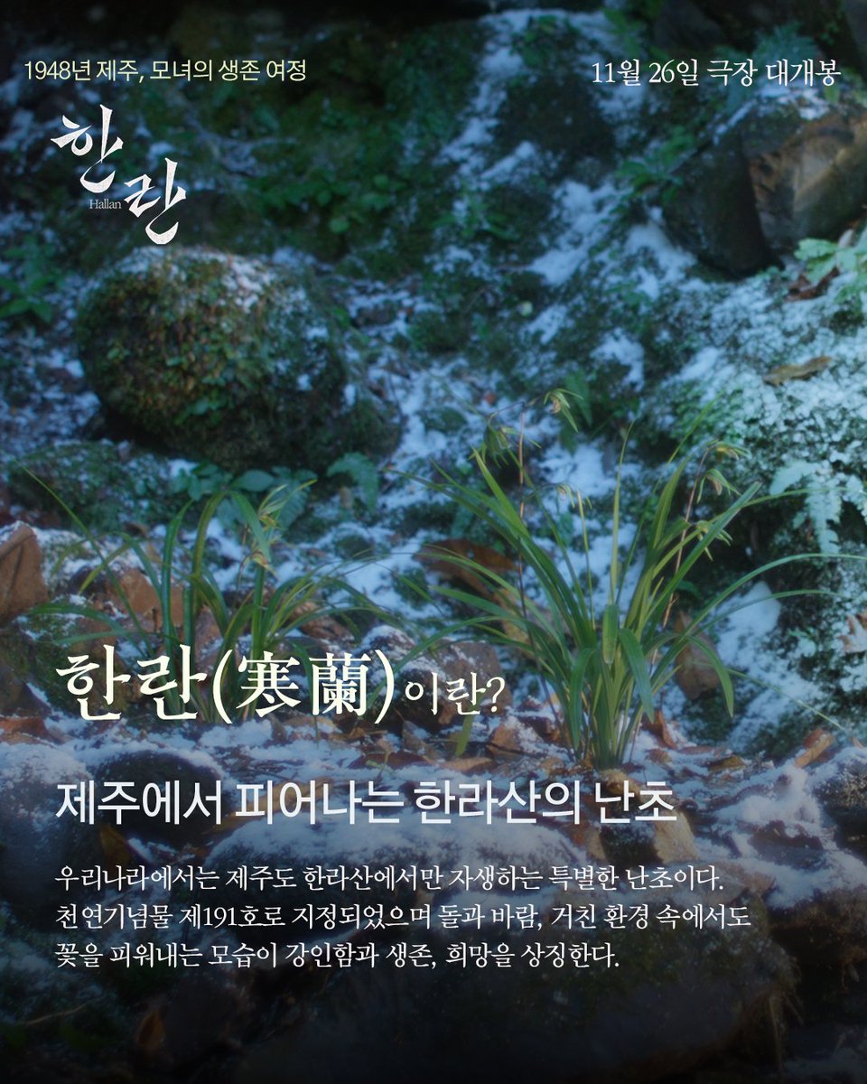 “제주에서 피어나는 한라산의 난초”❄️🌱
 
추위 속에서도 꺾이지 않고 꽃을 
피우는 ‘한란’처럼
1948년 제주 한라산으로 피신한 
모녀의 생존 여정이 찾아옵니다.🫂
 
강인한 엄마 김향기  X 어린 딸 김민채
<한란> 𝟏𝟏. 𝟐𝟔 𝐂𝐎𝐌𝐈𝐍𝐆
 
#한란 #모녀생존기 #11월26일개봉
#김향기 #김민채