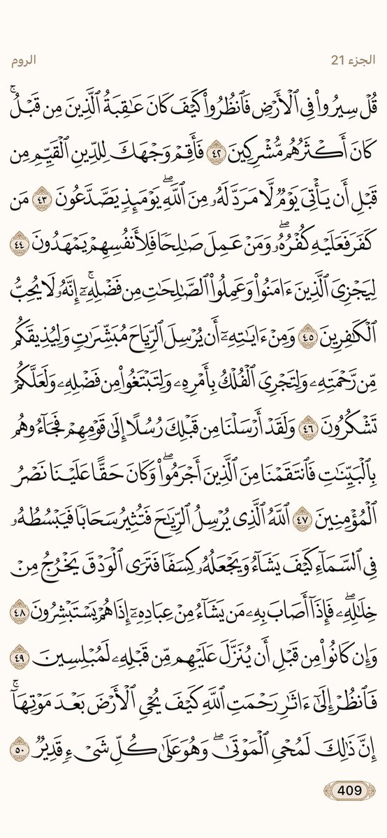 AlMosahf's tweet photo. ورد الثلاثاء https://t.co/KmWgNf7bCw