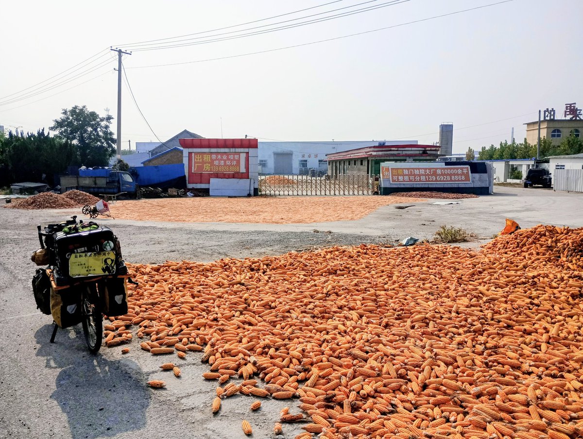 茶壺@自転車世界1周中 on X